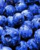 blueberries