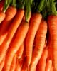 carrots