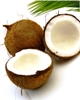 coconut