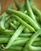 greenbeans 