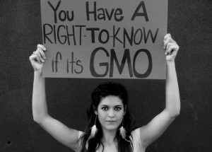 gmo free - right to know