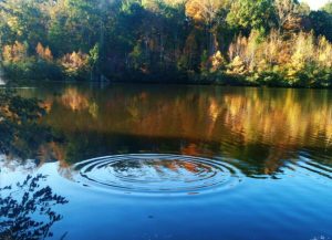 Drop your pebble in the pond of the universe